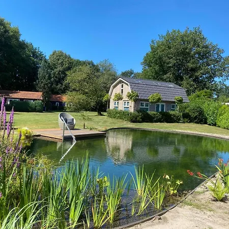 Morning Glory Salvia Dom wakacyjny