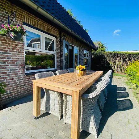 Morning Glory Salvia *