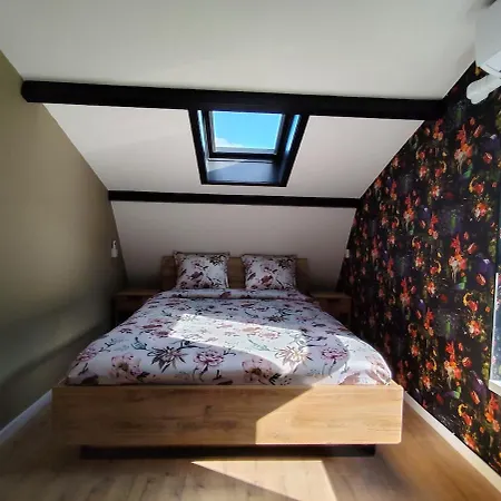 Dom wakacyjny Morning Glory Salvia *