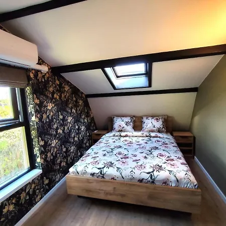 Dom wakacyjny Morning Glory Salvia *