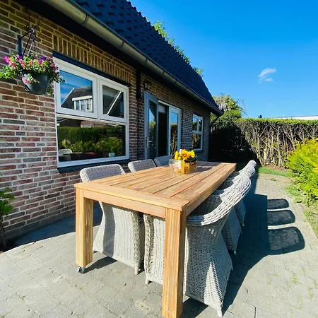 Morning Glory Salvia Beekbergen