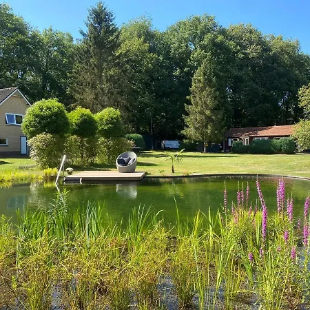 Morning Glory Salvia * Beekbergen