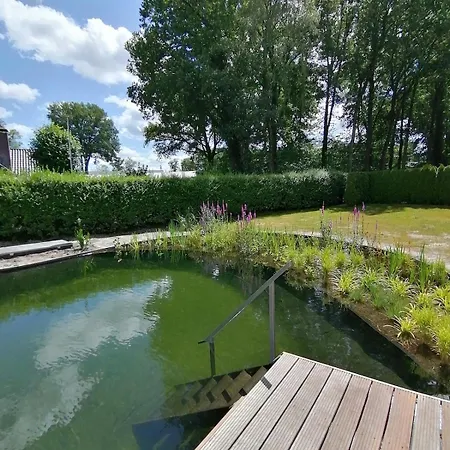 Morning Glory Salvia * Beekbergen