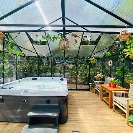 Morning Glory Salvia Beekbergen