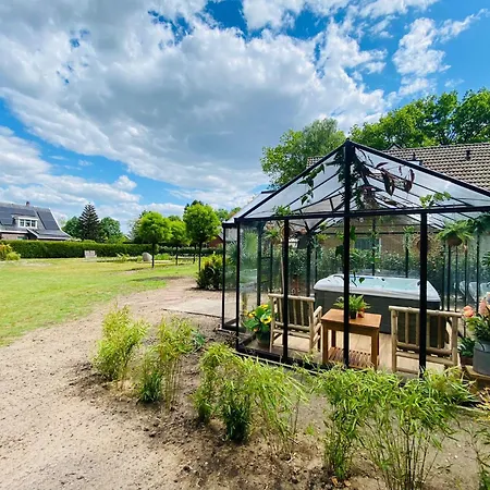 Morning Glory Salvia Dom wakacyjny *