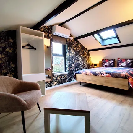 Ferienhaus Morning Glory Salvia *