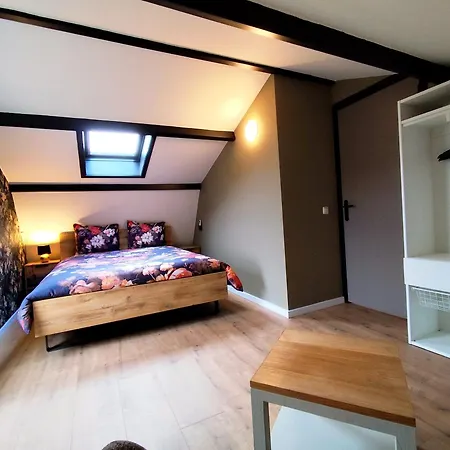 Morning Glory Salvia