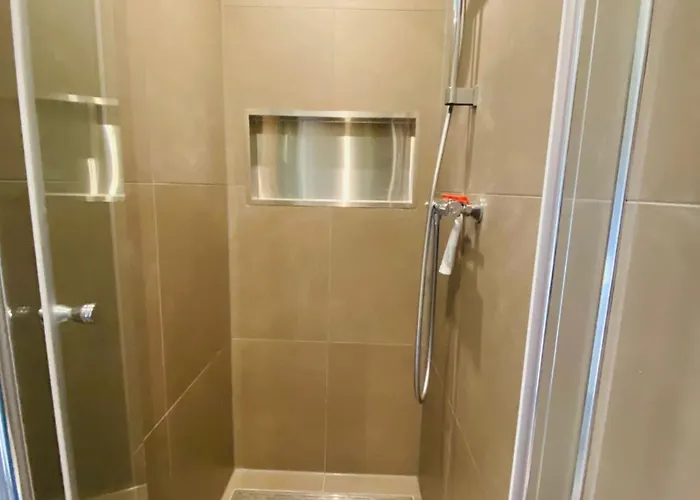 Morning Glory Salvia *