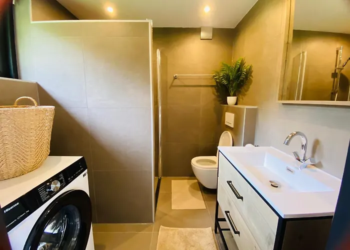 Morning Glory Salvia Dom wakacyjny Beekbergen