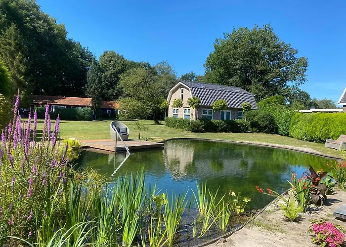 Morning Glory Salvia Dom wakacyjny