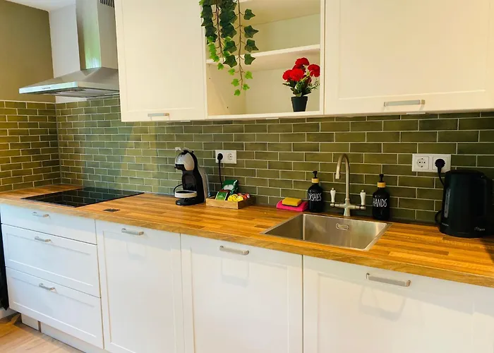 Morning Glory Salvia Dom wakacyjny