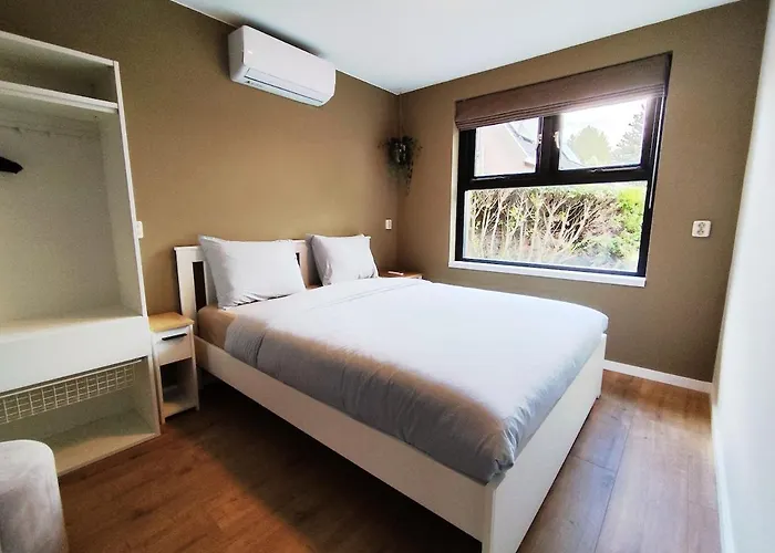 Morning Glory Salvia Beekbergen