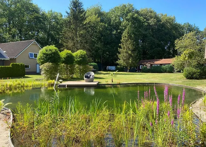 Morning Glory Salvia * Beekbergen