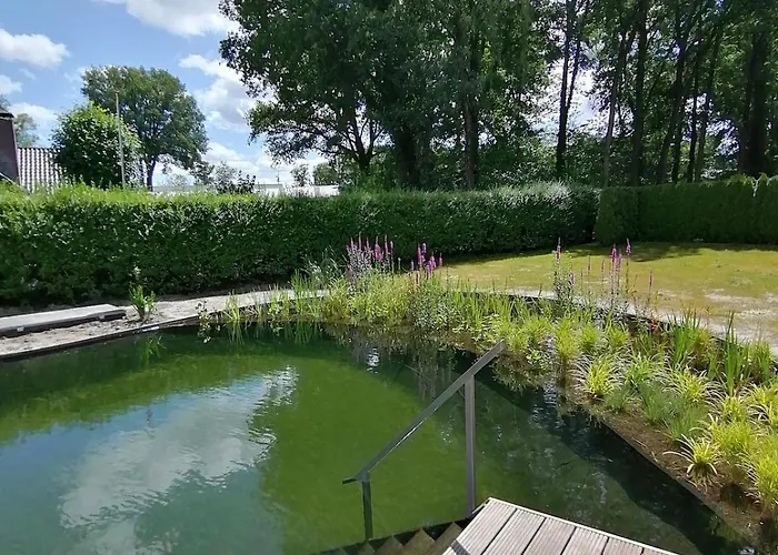 Morning Glory Salvia * Beekbergen