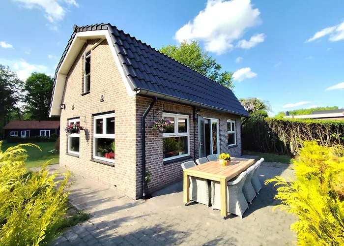 Morning Glory Salvia Beekbergen