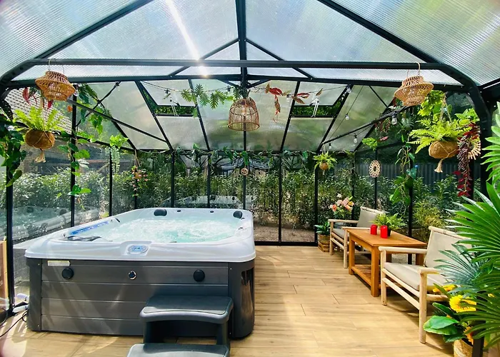 Morning Glory Salvia Beekbergen