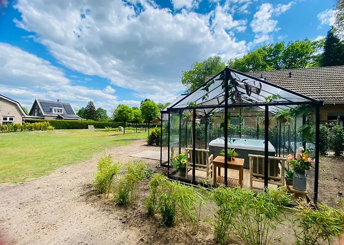 Morning Glory Salvia Dom wakacyjny *