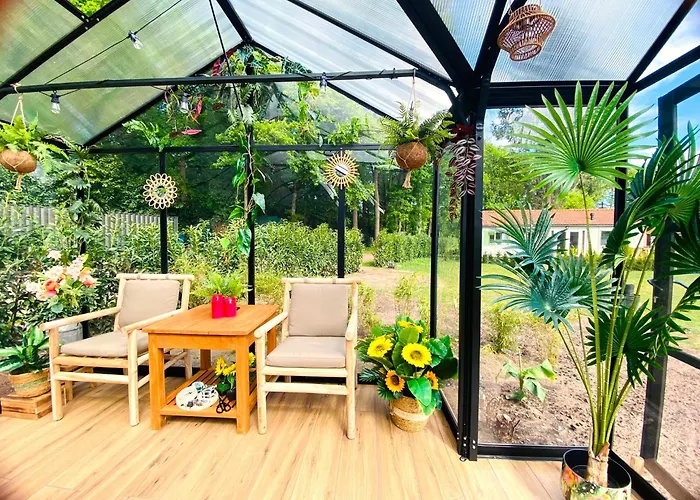 Morning Glory Salvia *