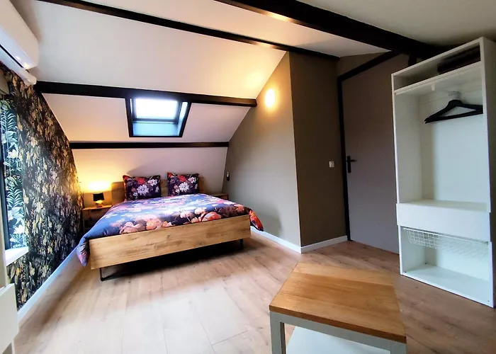 Morning Glory Salvia