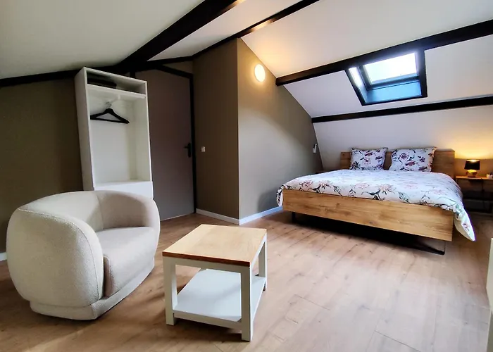 Morning Glory Salvia Beekbergen