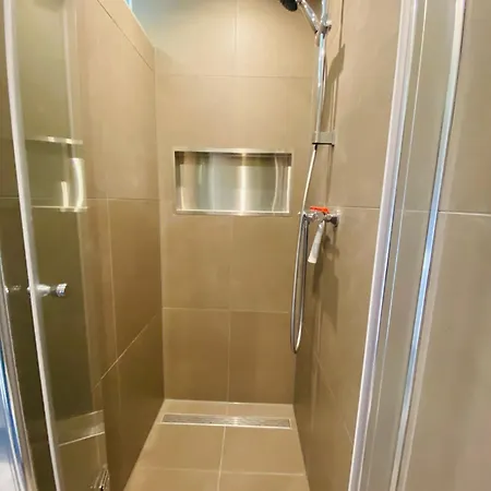 Morning Glory Salvia *