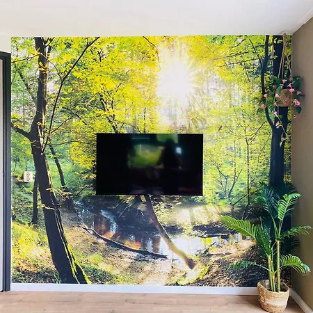 Morning Glory Salvia * Beekbergen