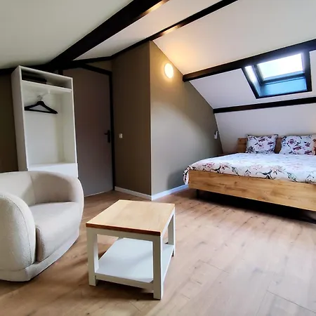 Morning Glory Salvia 贝克贝亨