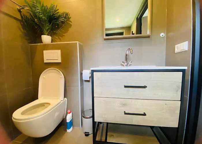 Morning Glory Salvia * 贝克贝亨