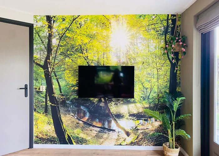 Morning Glory Salvia * 贝克贝亨