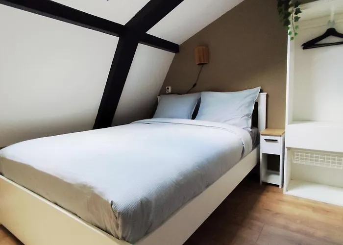 Morning Glory Salvia