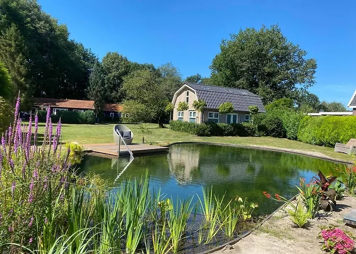 Morning Glory Salvia *