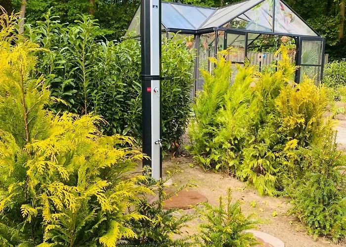 Morning Glory Salvia 贝克贝亨