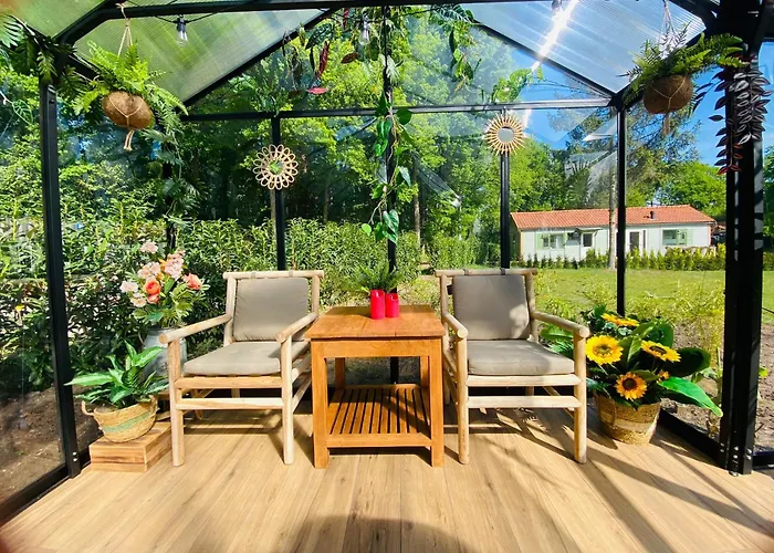 度假居 Morning Glory Salvia *